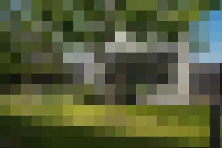 Torsdam 2 b Altforst thumbnail 38