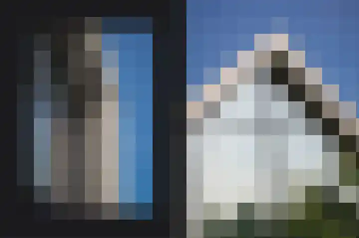 Torsdam 2 b Altforst thumbnail 41