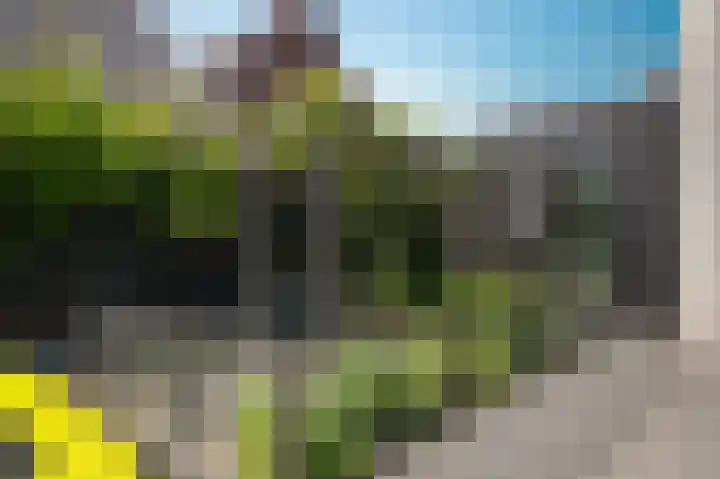 Torsdam 2 b Altforst thumbnail 42