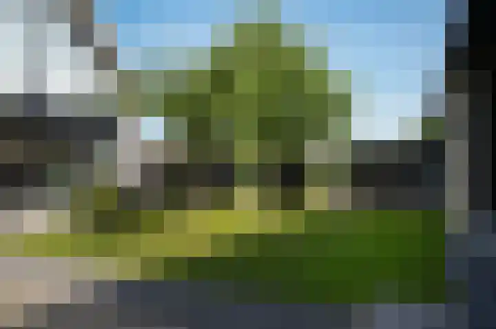 Torsdam 2 b Altforst thumbnail 43