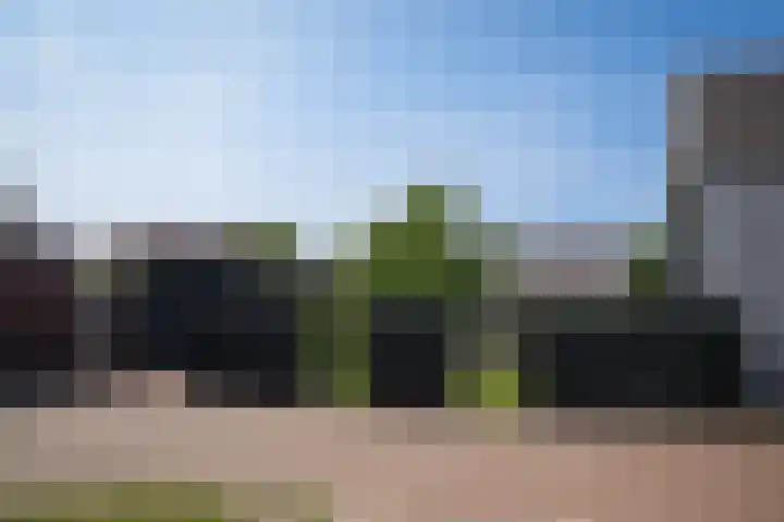 Torsdam 2 b Altforst thumbnail 49