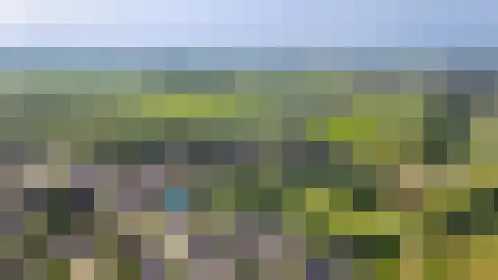 Torsdam 2 b Altforst thumbnail 52