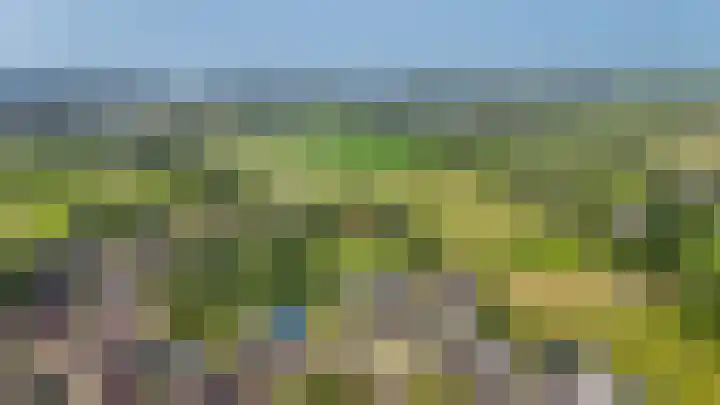 Torsdam 2 b Altforst thumbnail 54