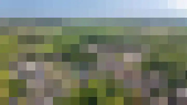 Torsdam 2 b Altforst thumbnail 55