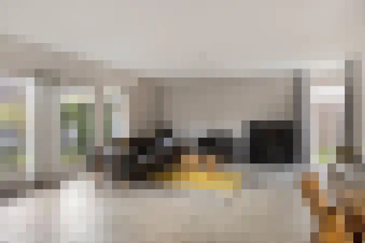 Tortelduif 10 Blokker thumbnail 10