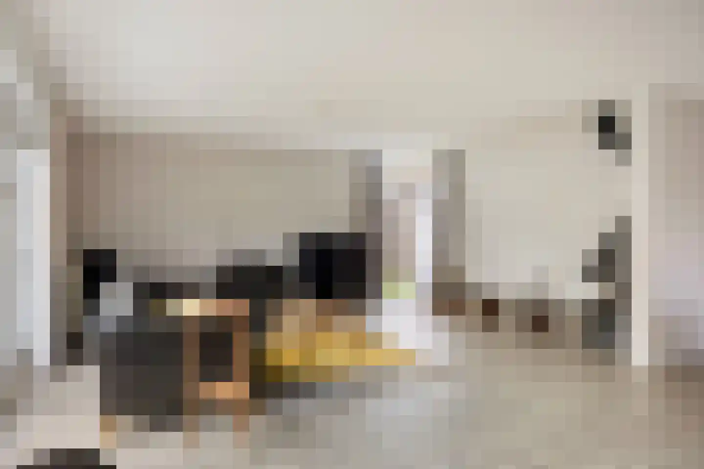 Tortelduif 10 Blokker thumbnail 11