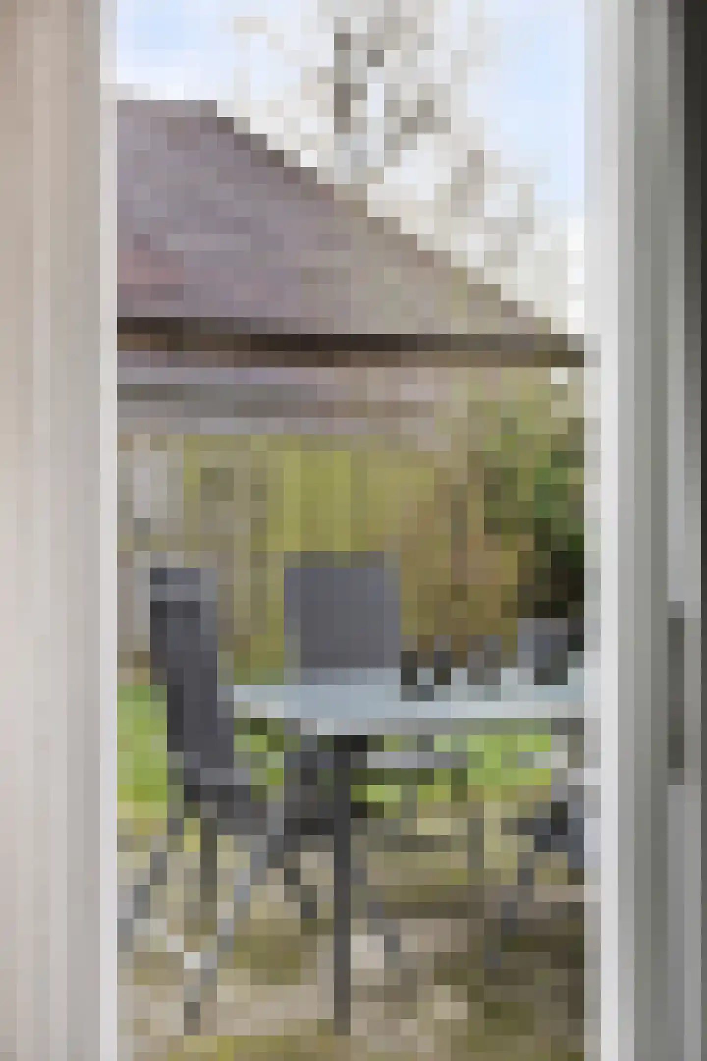 Tortelduif 10 Blokker thumbnail 12