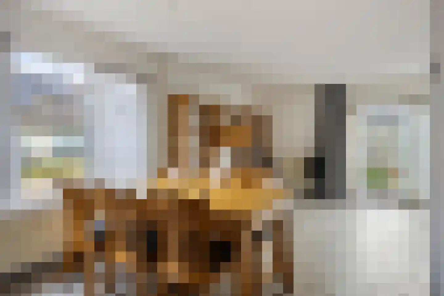 Tortelduif 10 Blokker thumbnail 14
