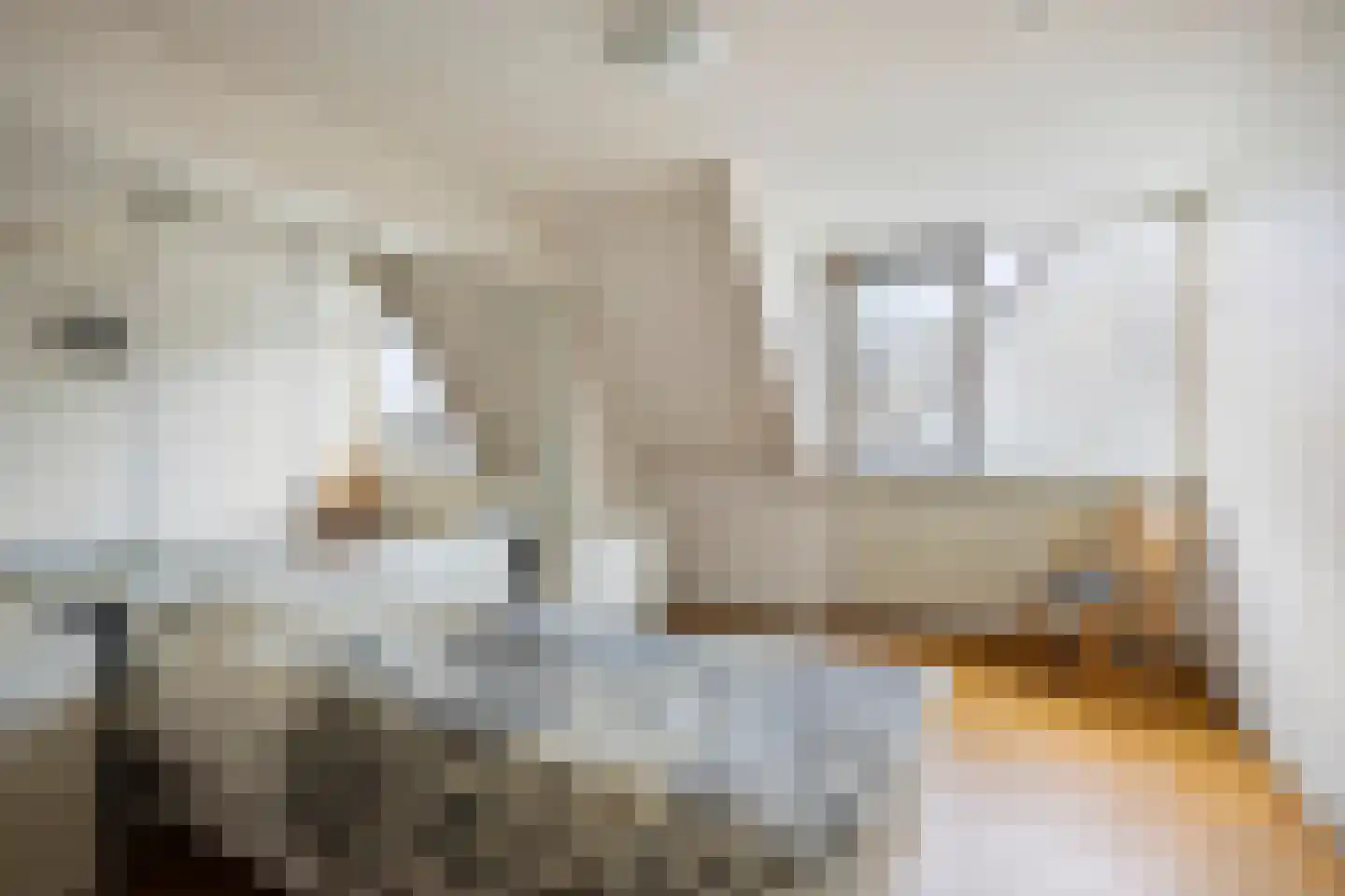 Tortelduif 10 Blokker thumbnail 19