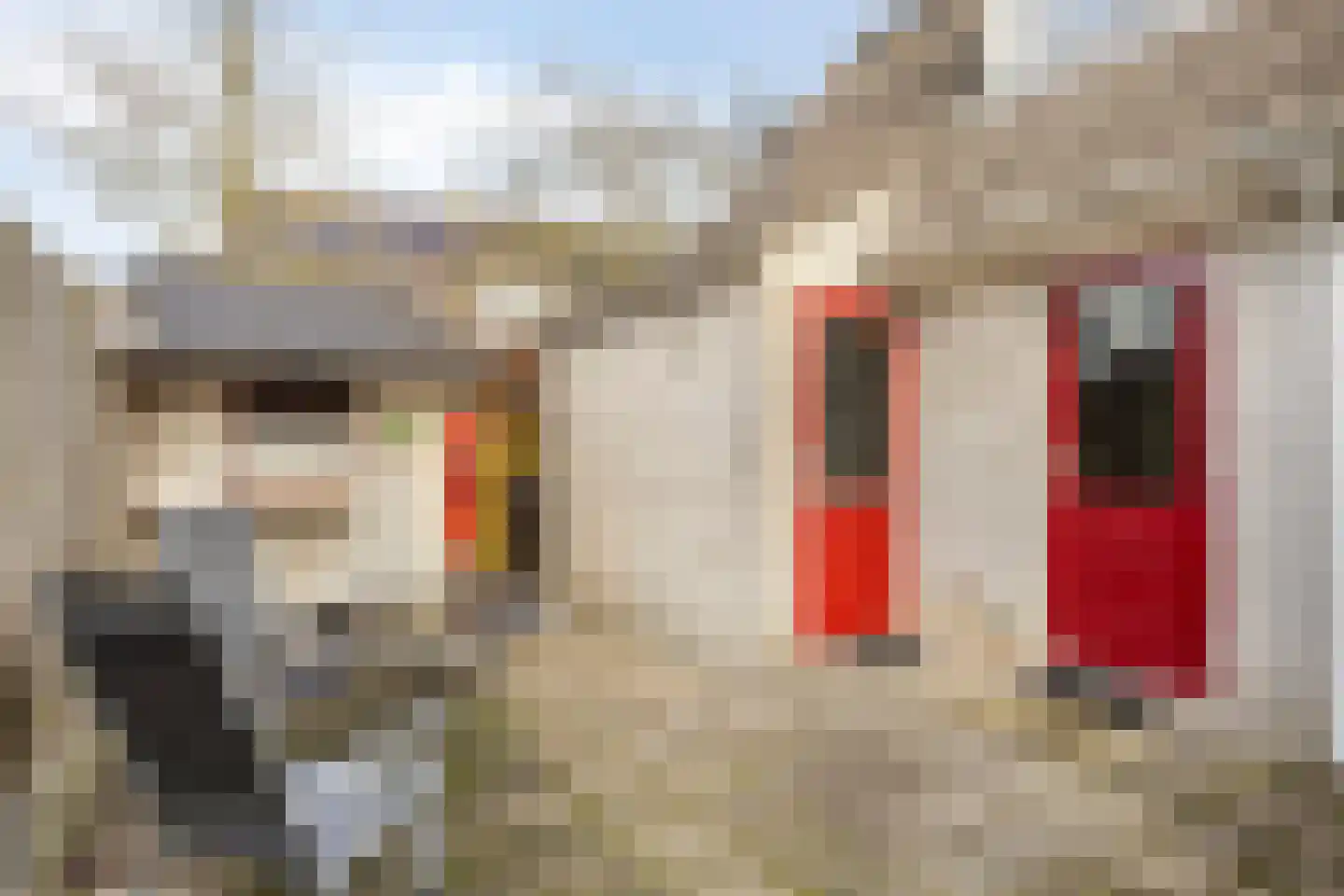 Tortelduif 10 Blokker thumbnail 26