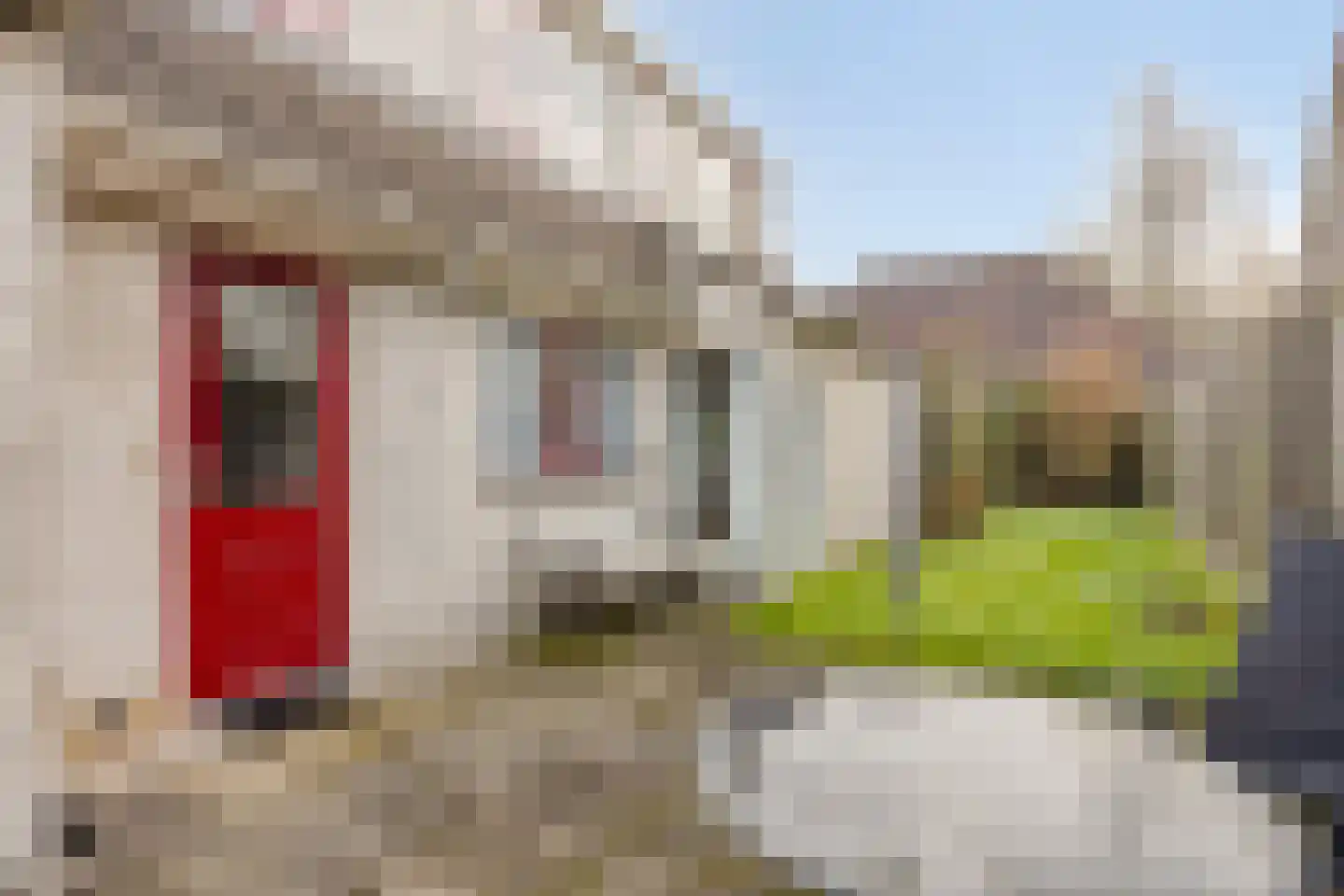 Tortelduif 10 Blokker thumbnail 27
