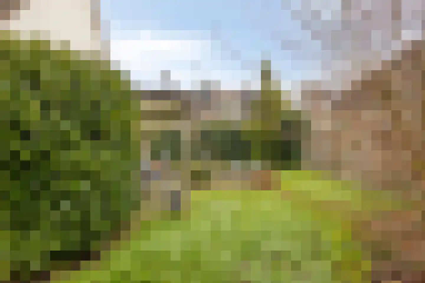 Tortelduif 10 Blokker thumbnail 29