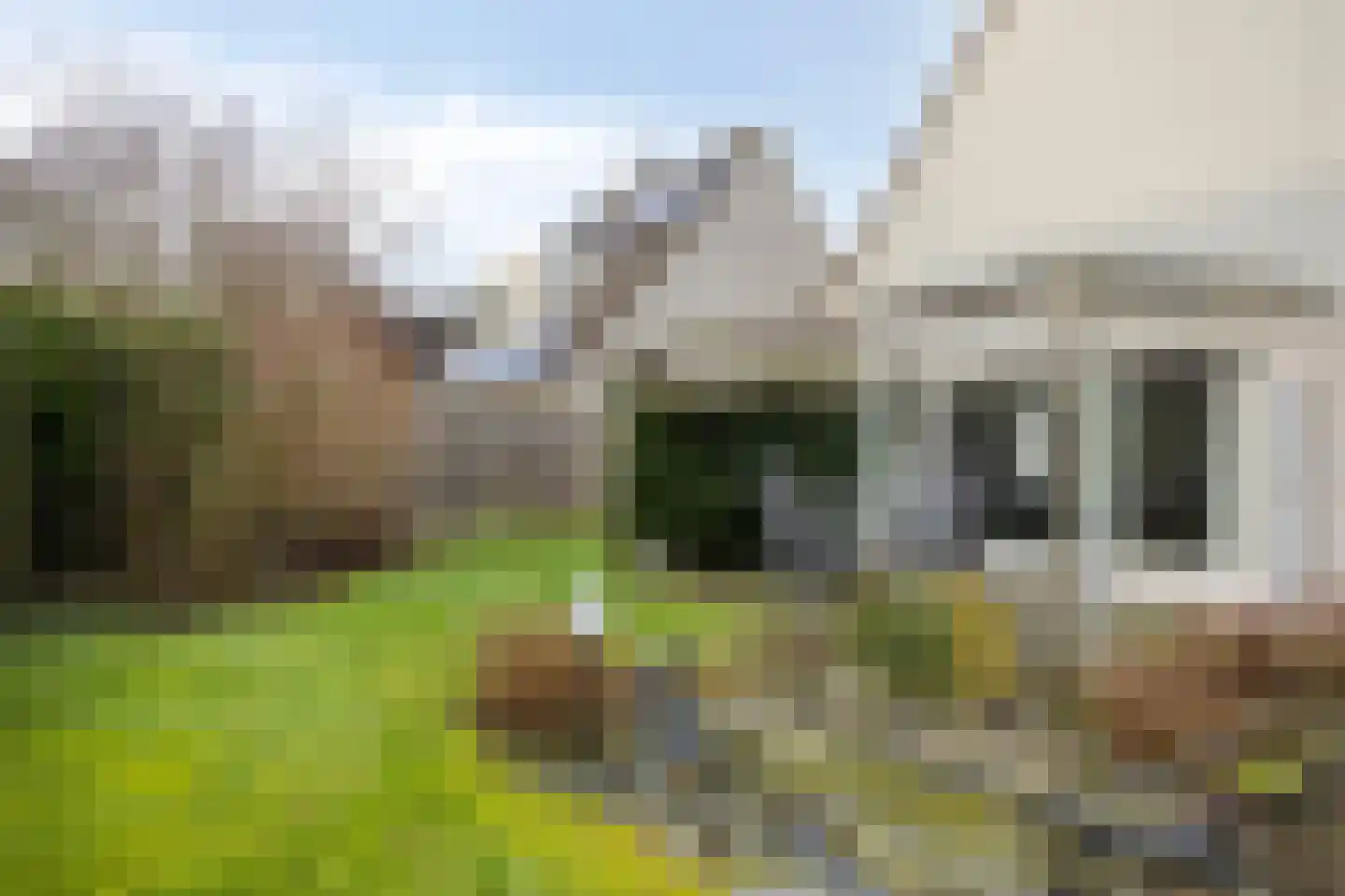 Tortelduif 10 Blokker thumbnail 30