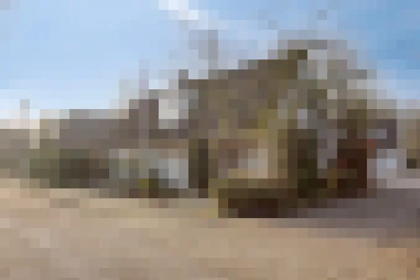 Tortelduif 10 Blokker thumbnail 32