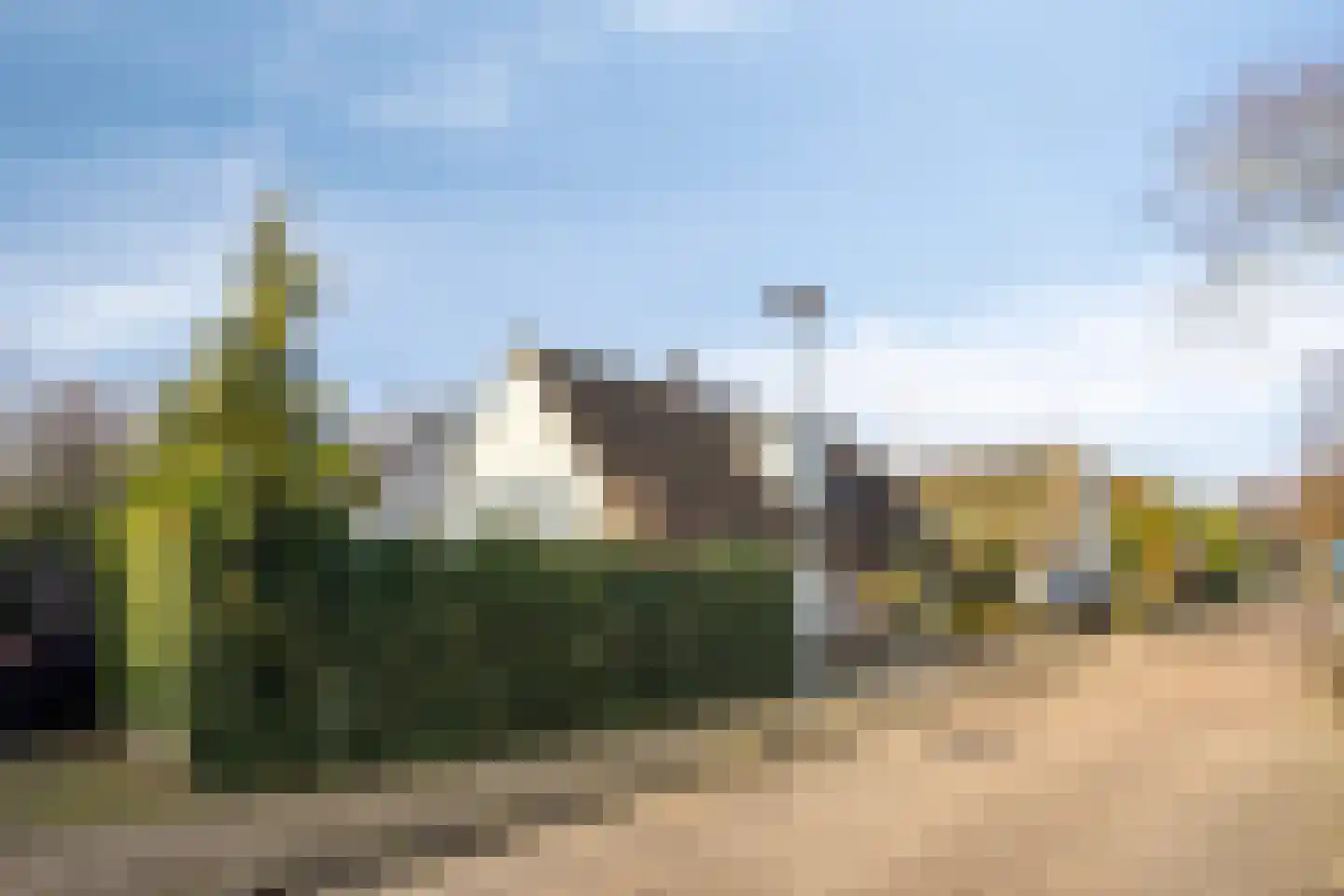 Tortelduif 10 Blokker thumbnail 34