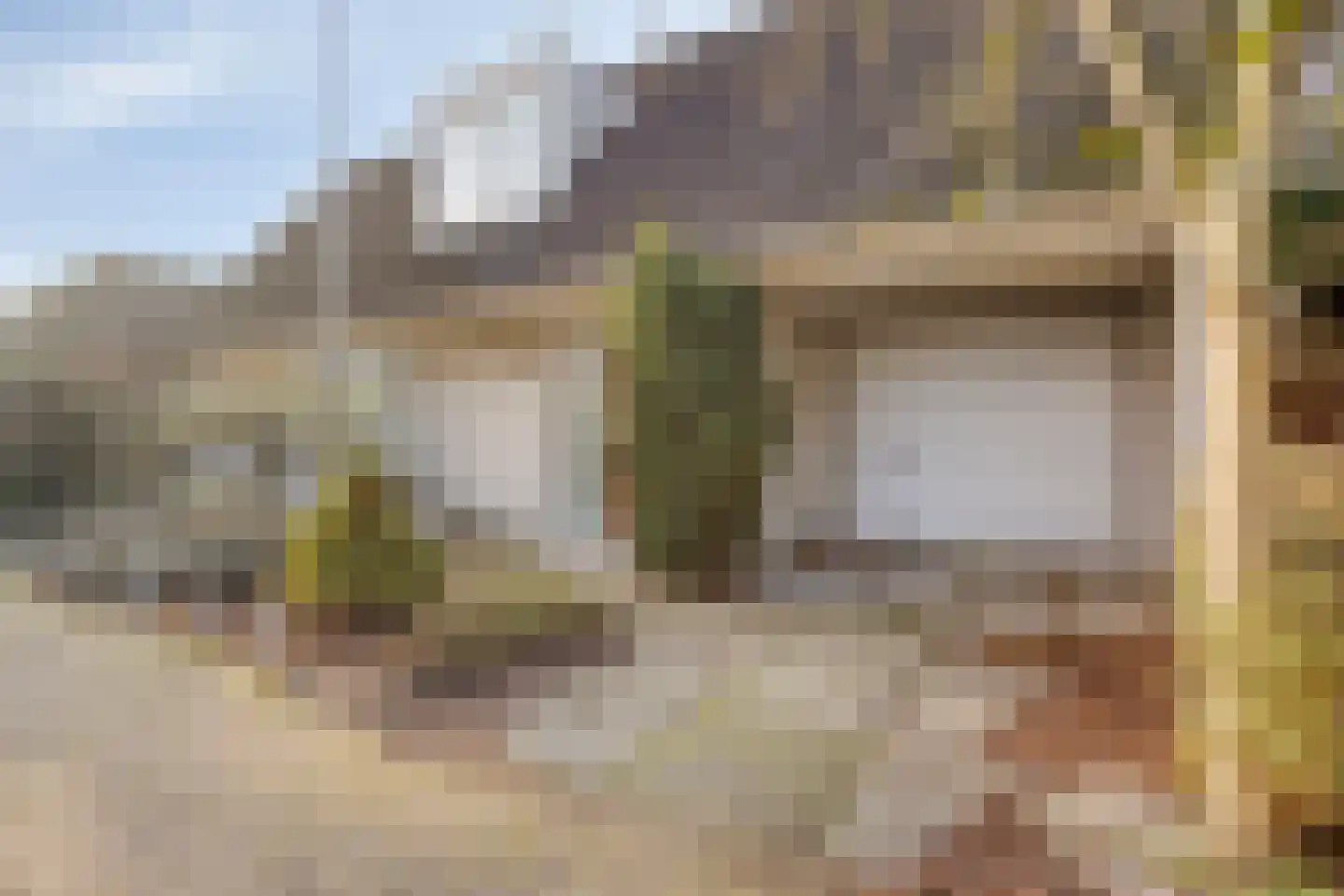 Tortelduif 10 Blokker thumbnail 36