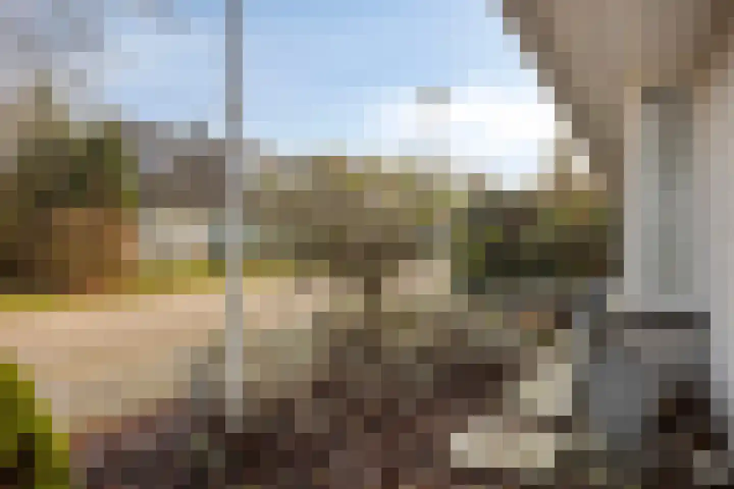 Tortelduif 10 Blokker thumbnail 37