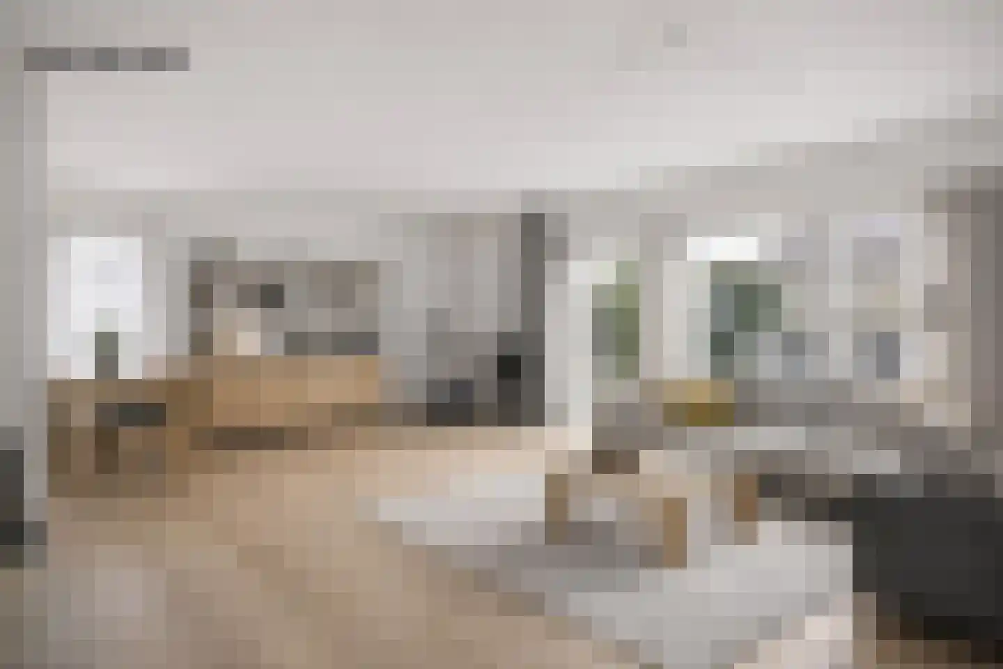 Tortelduif 10 Blokker thumbnail 5