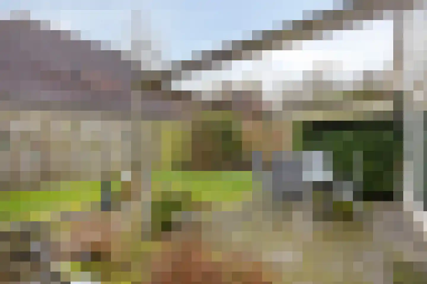 Tortelduif 10 Blokker thumbnail 6
