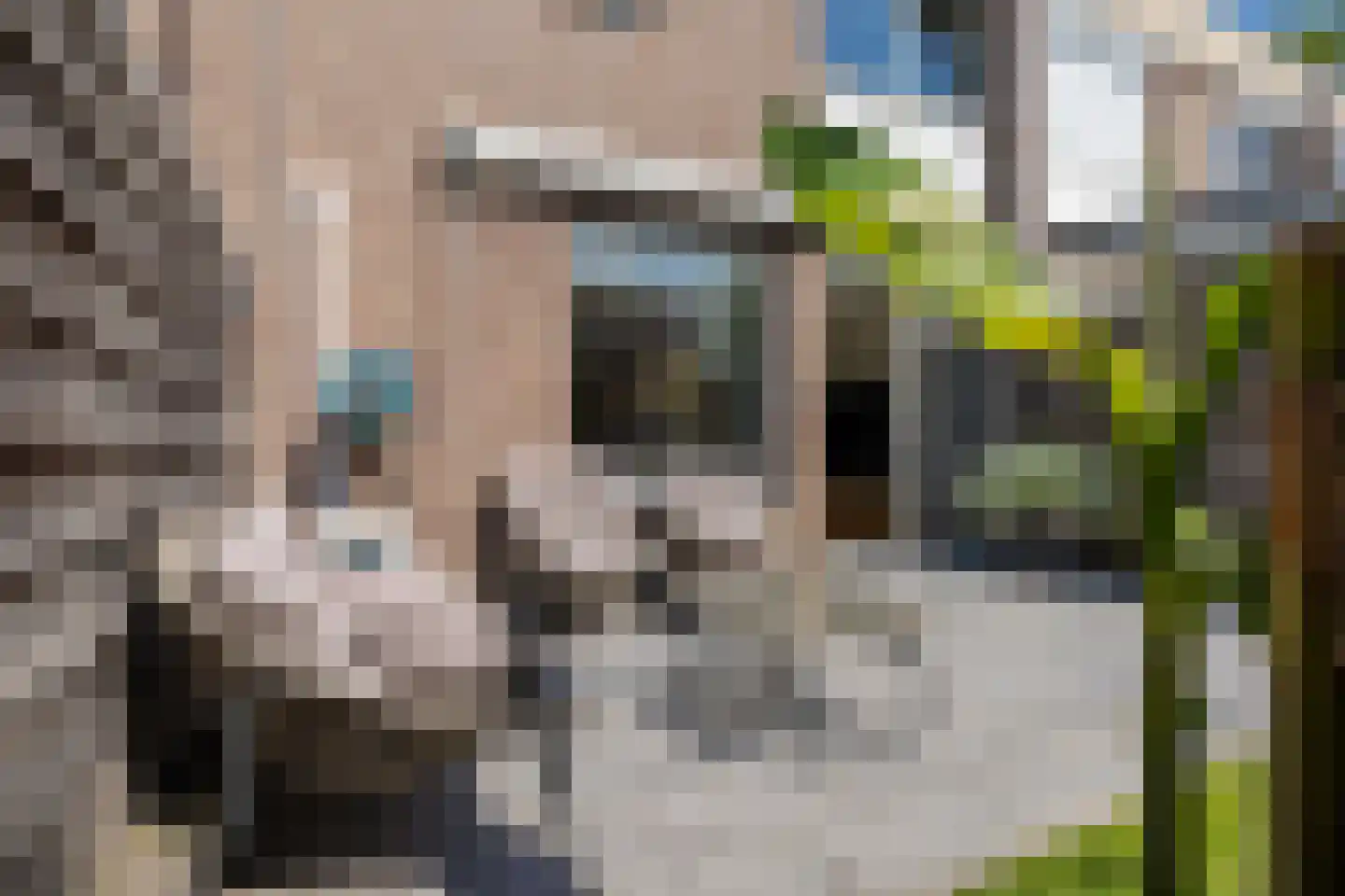 Tortelduif 12 Emmen thumbnail 34