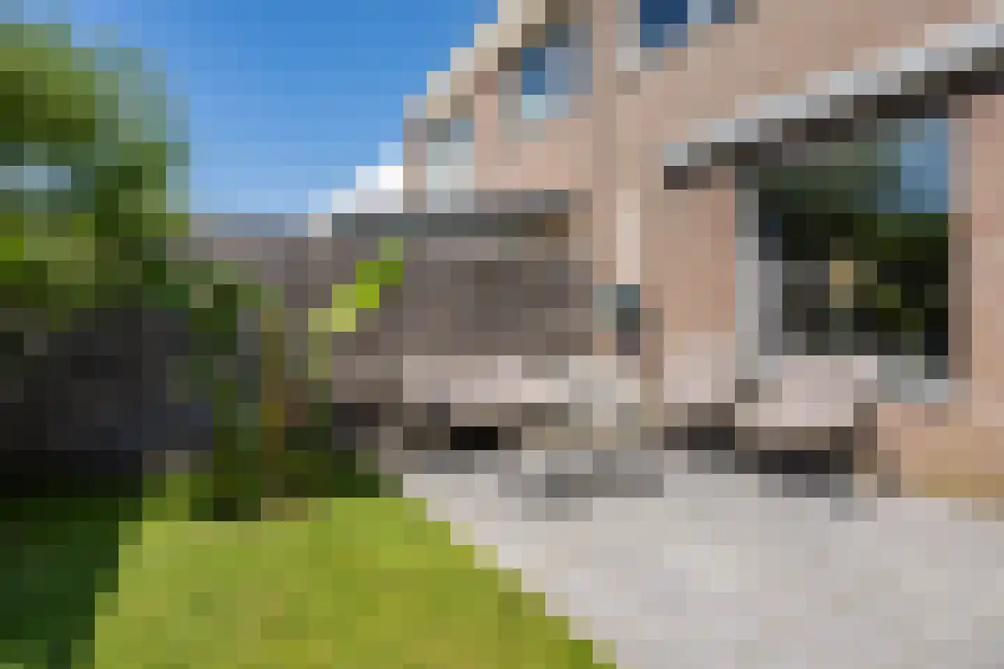 Tortelduif 12 Emmen thumbnail 35