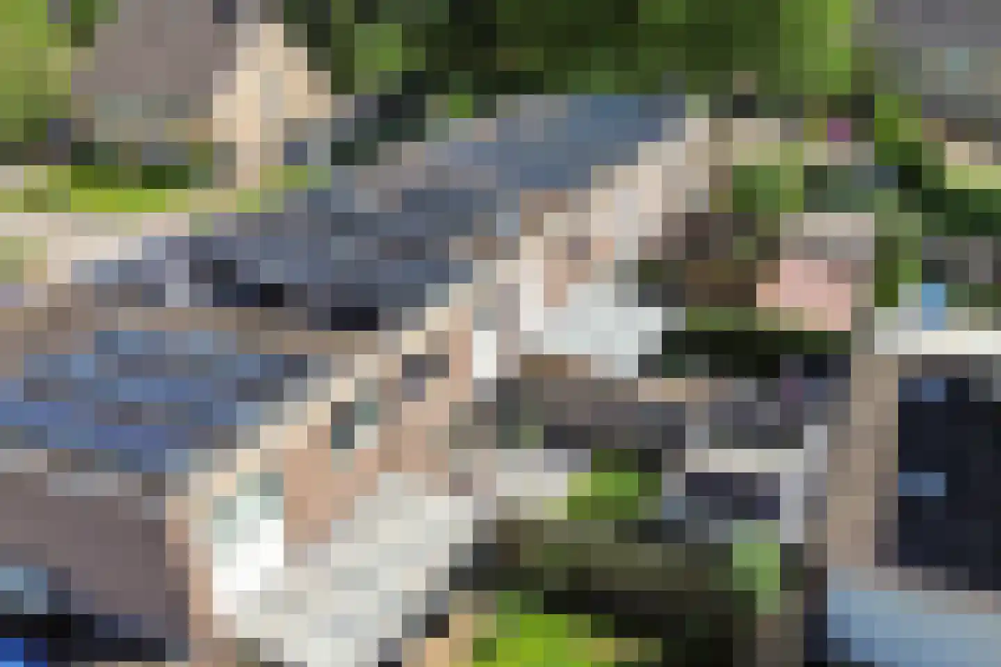 Tortelduif 12 Emmen thumbnail 38