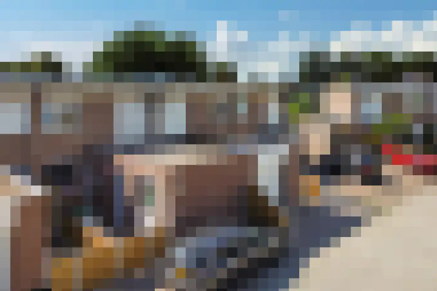Tortelduif 12 Emmen thumbnail 41