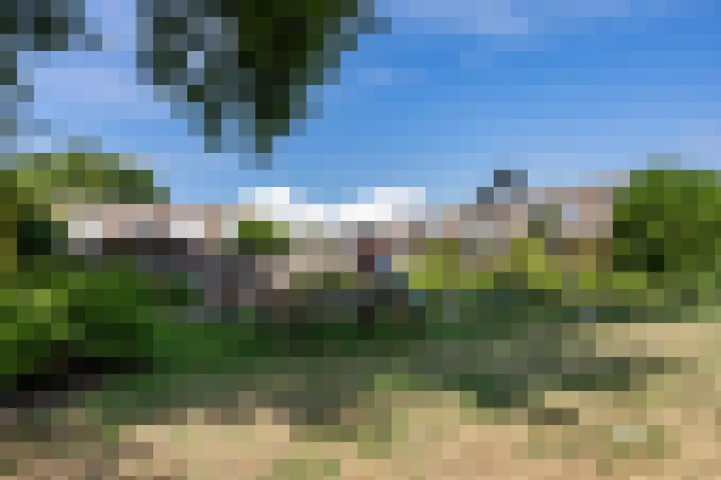 Tortelduif 12 Emmen thumbnail 46