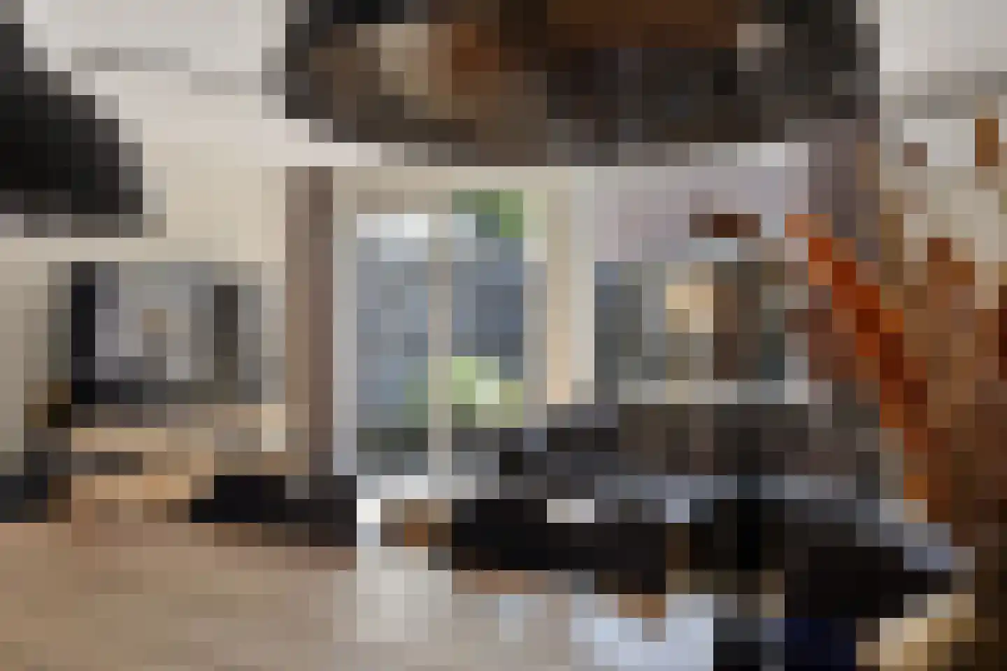 Tortelduif 12 Emmen thumbnail 7