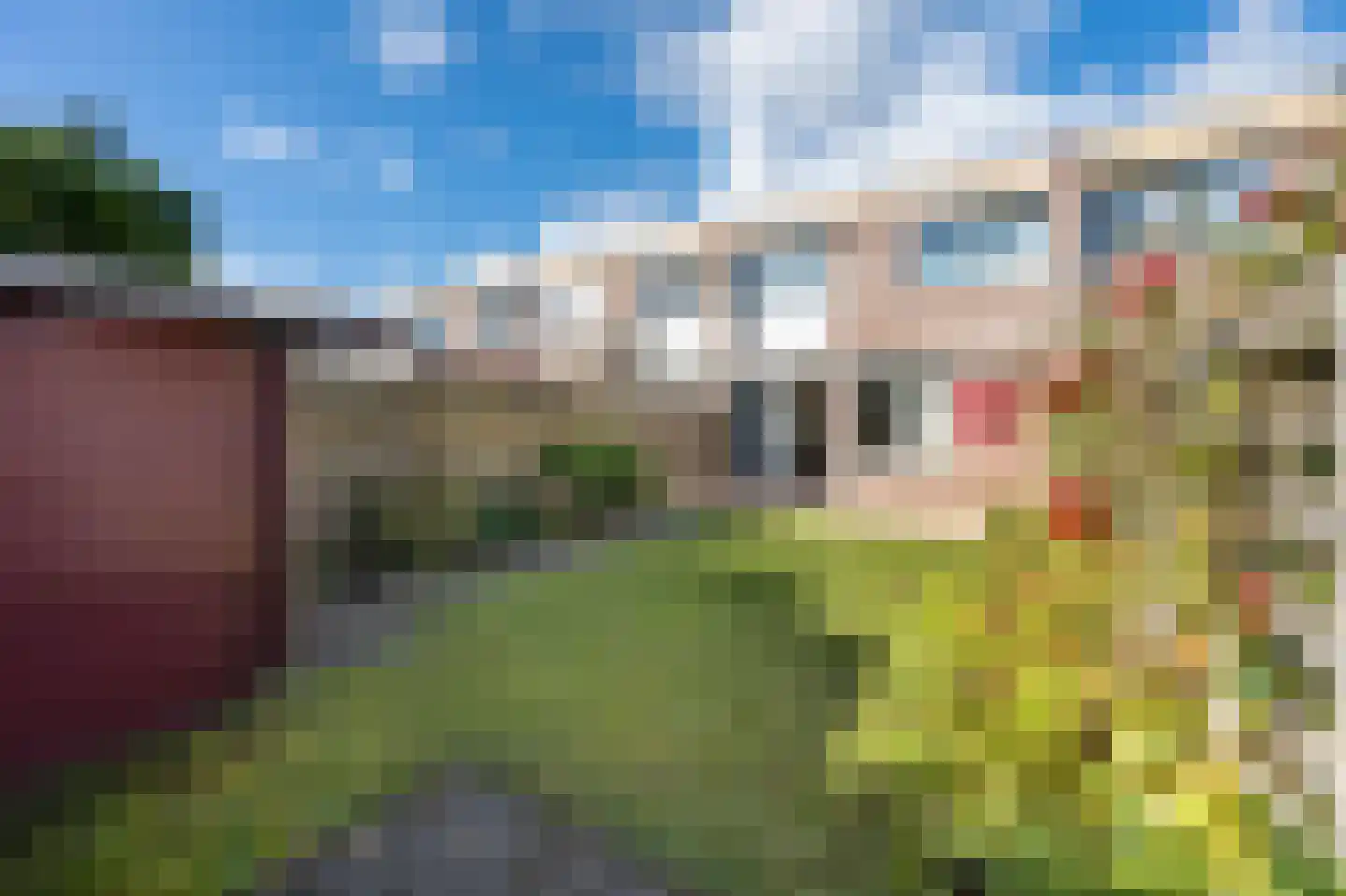 Tortelduif 33 Emmen thumbnail 26