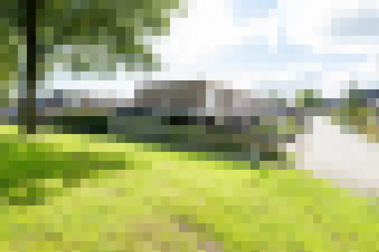 Tortelduif 33 Emmen thumbnail 31