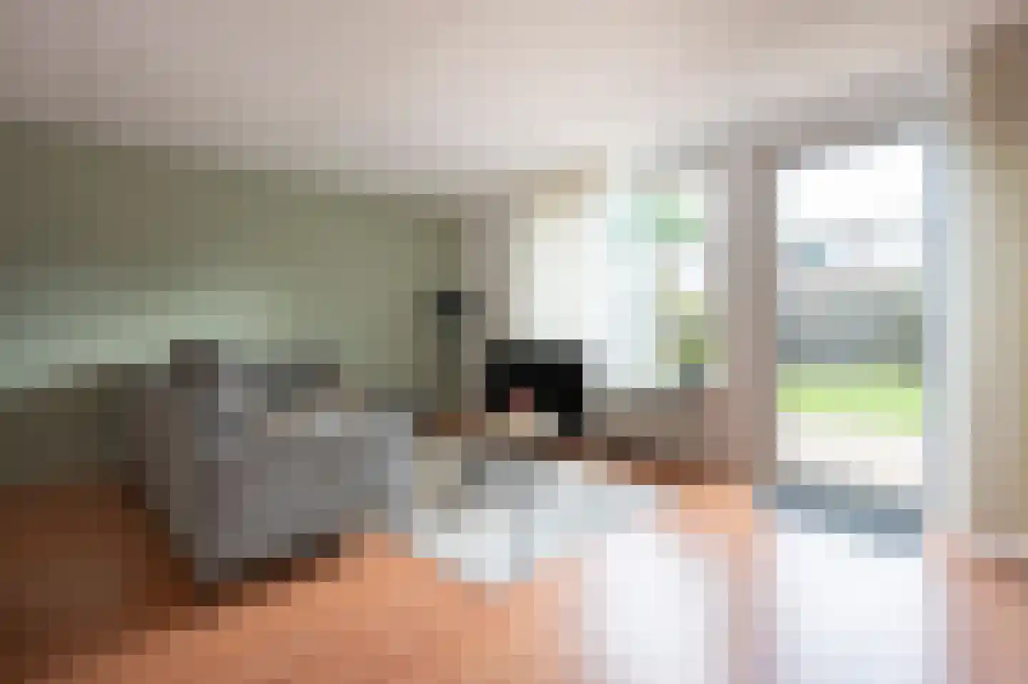 Tortelduif 33 Emmen thumbnail 4