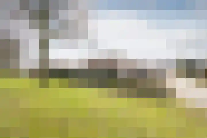 Tortelduif 36 Emmen thumbnail 32