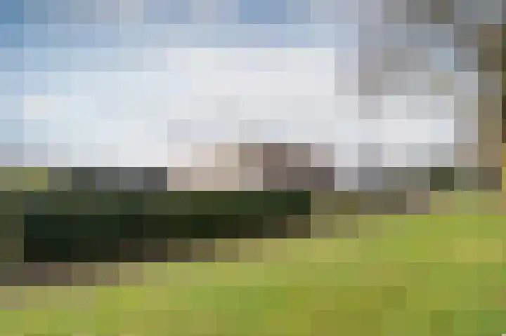 Tortelduif 36 Emmen thumbnail 33