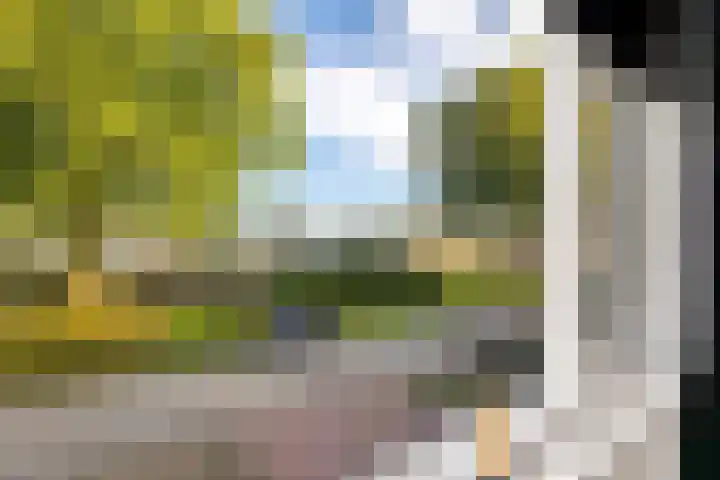 Tortelduif 55 Emmen thumbnail 11