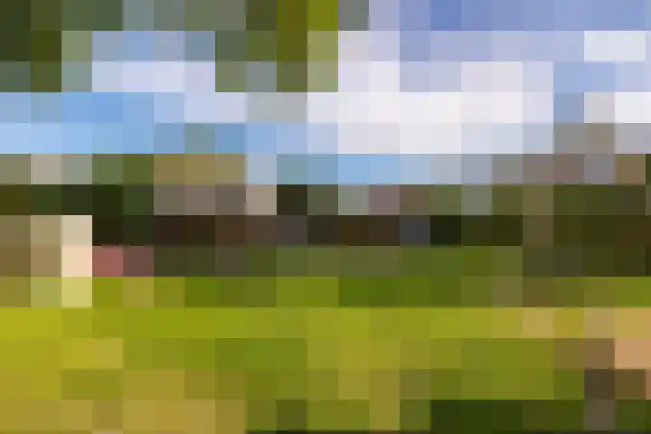 Tortelduif 55 Emmen thumbnail 22