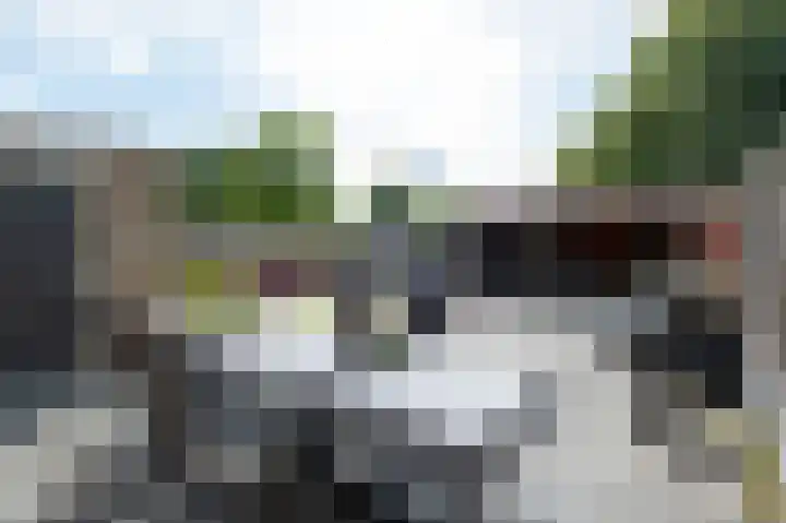 Tortelduif 65 Emmen thumbnail 36