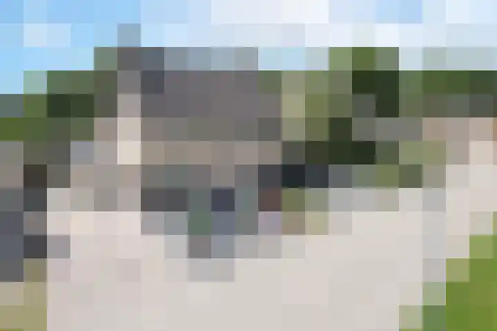 Tortelduif 65 Emmen thumbnail 47