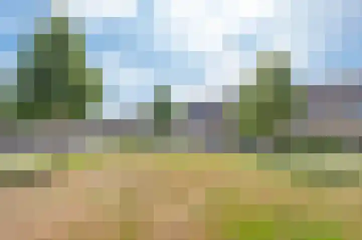 Tortelduif 65 Emmen thumbnail 48