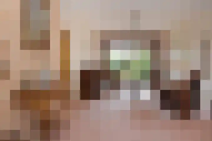 Tortellaan 18 Den Haag thumbnail 15
