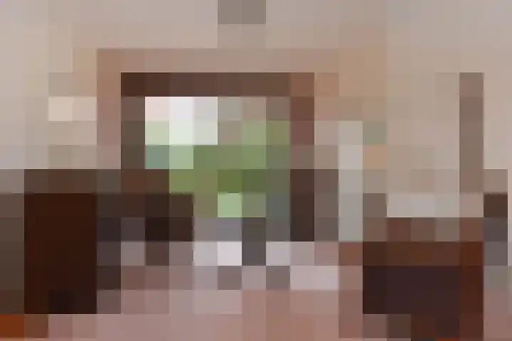 Tortellaan 18 Den Haag thumbnail 16