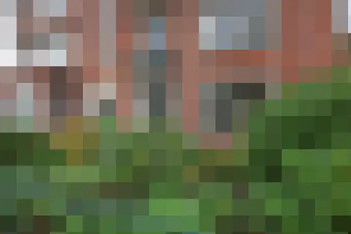 Tortellaan 18 Den Haag thumbnail 44