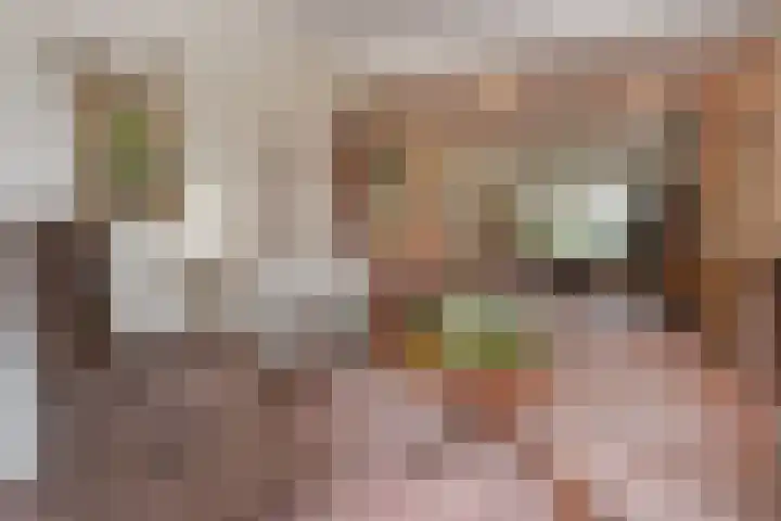 Tortellaan 18 Den Haag thumbnail 5