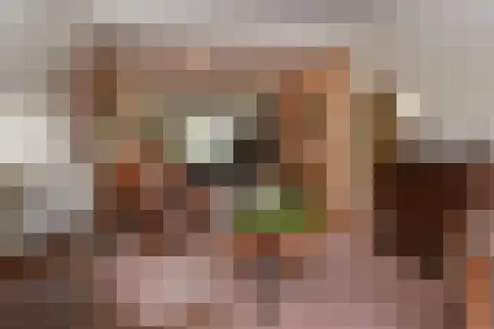 Tortellaan 18 Den Haag thumbnail 6