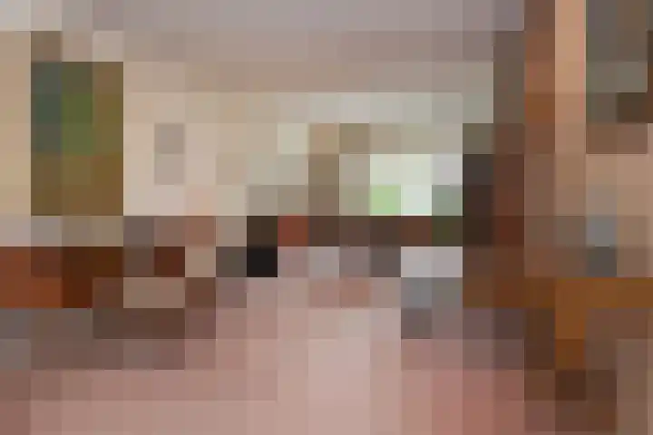 Tortellaan 18 Den Haag thumbnail 7