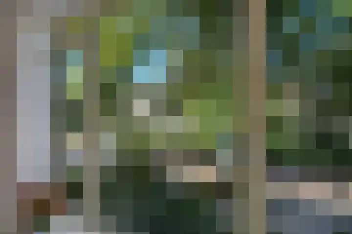 Tortellaan 20 Den Haag thumbnail 11