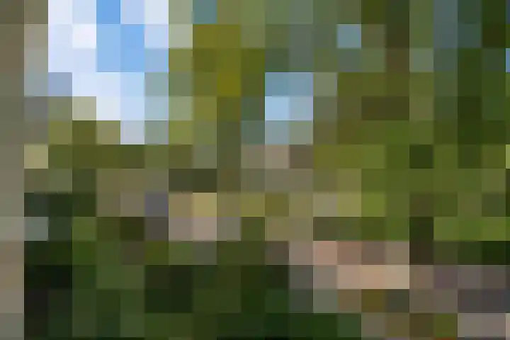 Tortellaan 20 Den Haag thumbnail 12