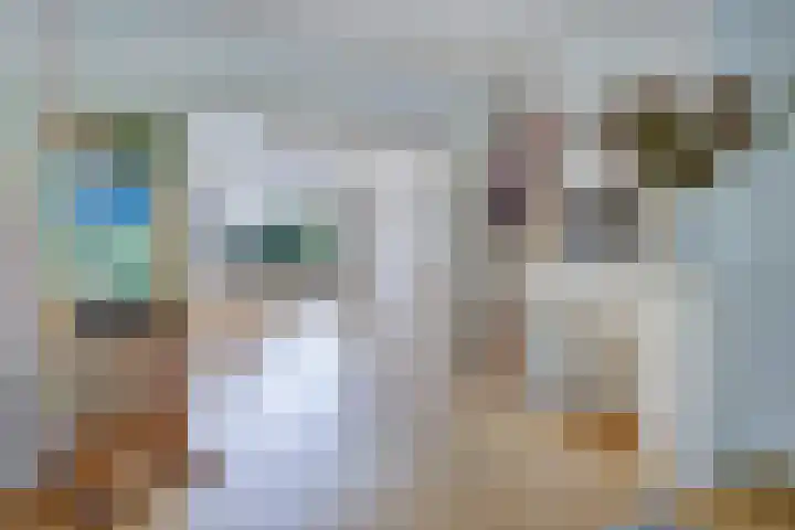 Tortellaan 20 Den Haag thumbnail 15