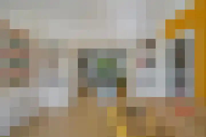Tortellaan 20 Den Haag thumbnail 16