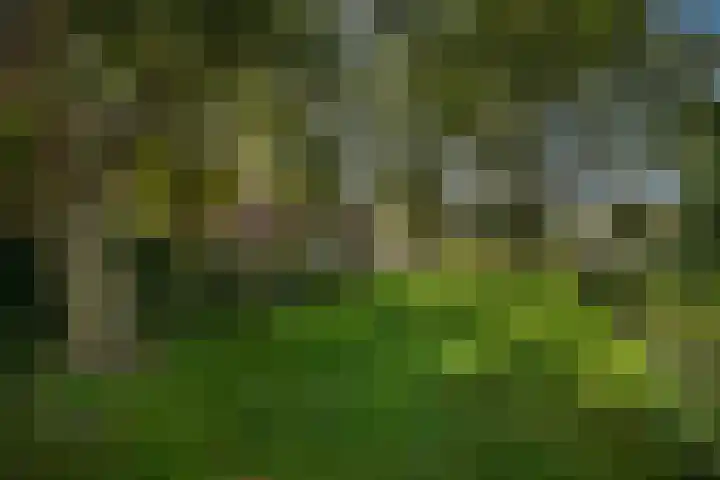 Tortellaan 20 Den Haag thumbnail 46